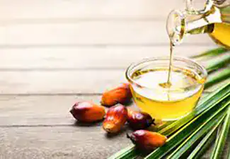 Palm Oil suppliers